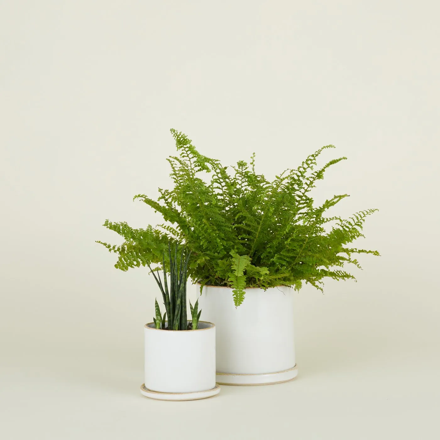 Minimal Planter